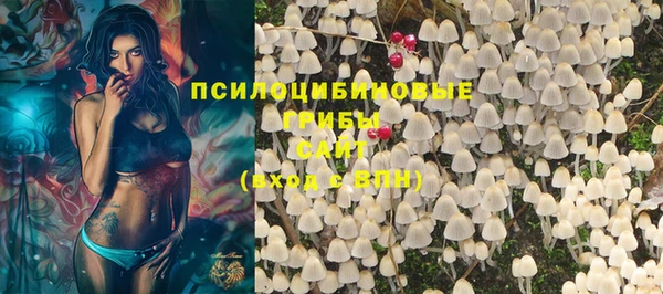 прущая мука Пестово