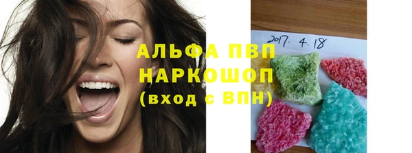 СК Пересвет