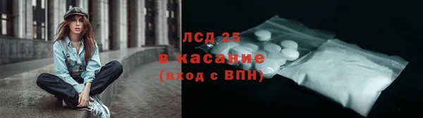 СК Пересвет