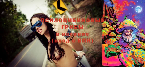 соль ск Переславль-Залесский