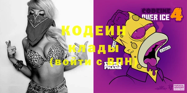 СК Пересвет