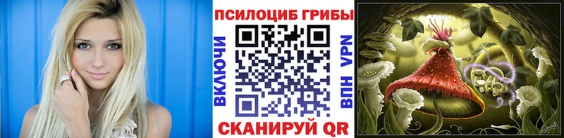 Псилоцибиновые грибы Magic Shrooms  Таштагол 